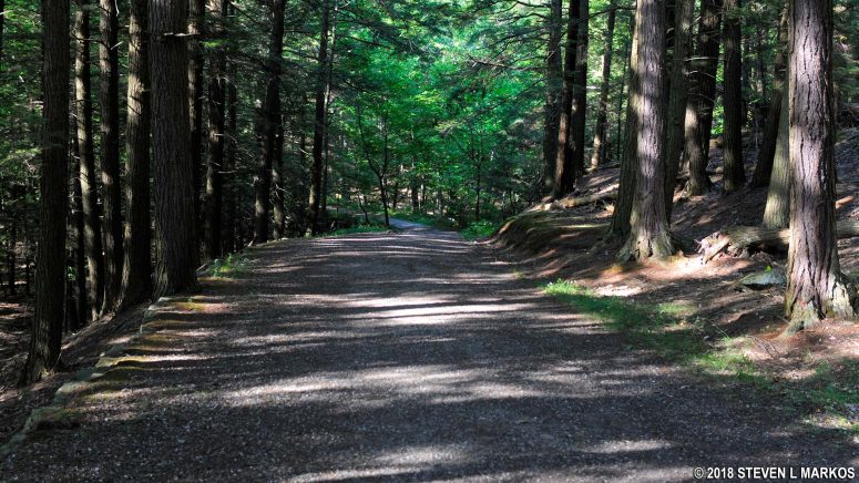 Mount Tom Road in Billings Park, Woodstock, Vermont
