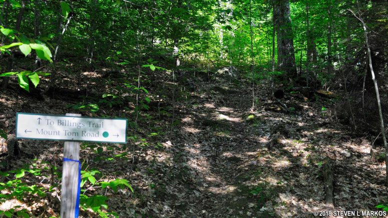 Intersection of Mount Tom Road and a connector to the Billings Trail, Billings Park, Woodstock, Vermont
