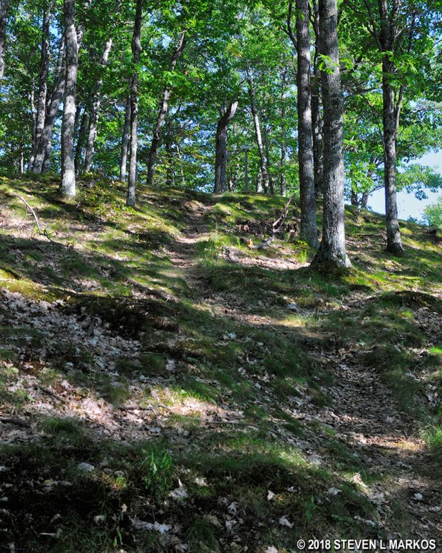 Steep terrain along the Billings Trail connector, Billings Park, Woodstock, Vermont
