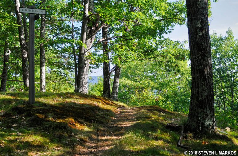 Summit area of the North Peak on Mount Tom in Billings Park, Woodstock, Vermont