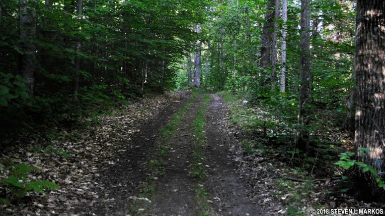 Typical terrain of Summer Pasture Trail in Marsh-Billings-Rockefeller National Historical Park