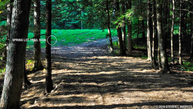 Intersection with Summer Pasture Road and Spring Lot Trail, Marsh-Billings-Rockefeller National Historical Park