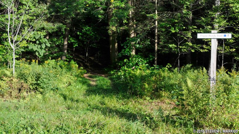 Intersection of the Spring Lot and Pogue Brook Trails in Marsh-Billings-Rockefeller National Historical Park