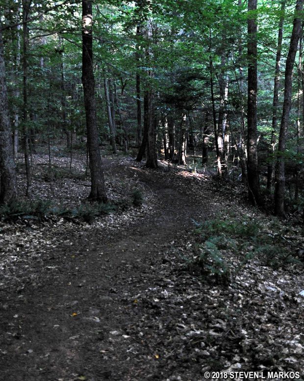 Typical terrain at the western end of the Pogue Brook Trail in Marsh-Billings-Rockefeller National Historical Park