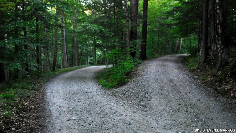 First of three forks along Mountain Road when hiking east back to the entrance of Marsh-Billings-Rockefeller National Historical Park