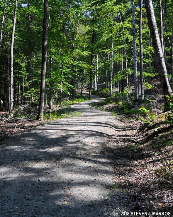 Typical terrain on the Prosper Trail in Marsh-Billings-Rockefeller National Historical Park