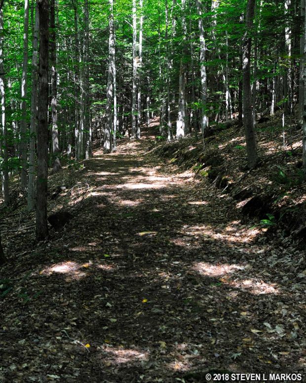 Typical terrain on the Middle Pass Trail in Marsh-Billings-Rockefeller National Historical Park