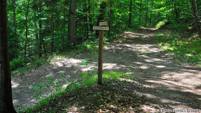 Intersection of the North Ridge Loop and Spring Lot trails in Marsh-Billings-Rockefeller National Historical Park