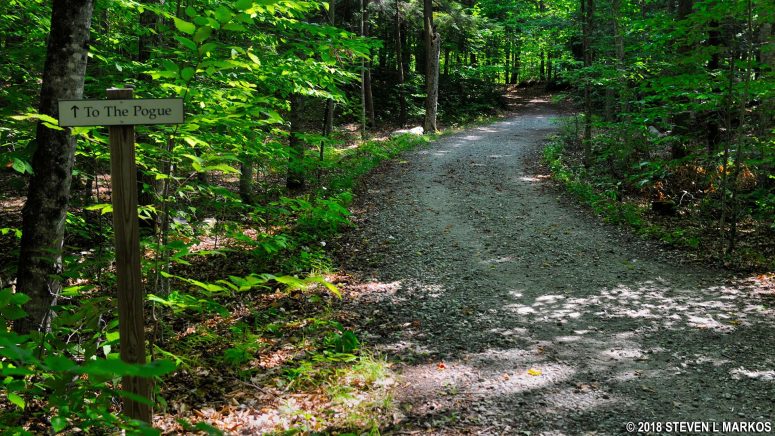 Connector from the North Ridge Loop to the Pogue Loop Trail, Marsh-Billings-Rockefeller National Historical Park