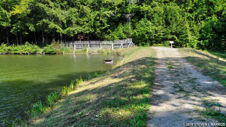 Earthen dam that creates The Pogue, a small pond in Marsh-Billings-Rockefeller National Historical Park