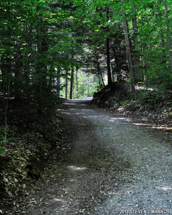 Southwestern end of the North Ridge Loop in Marsh-Billings-Rockefeller National Historical Park