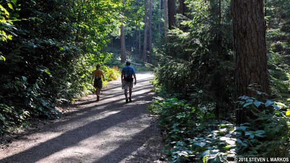 Carriage road at Marsh-Billings-Rockefeller National Historical Park