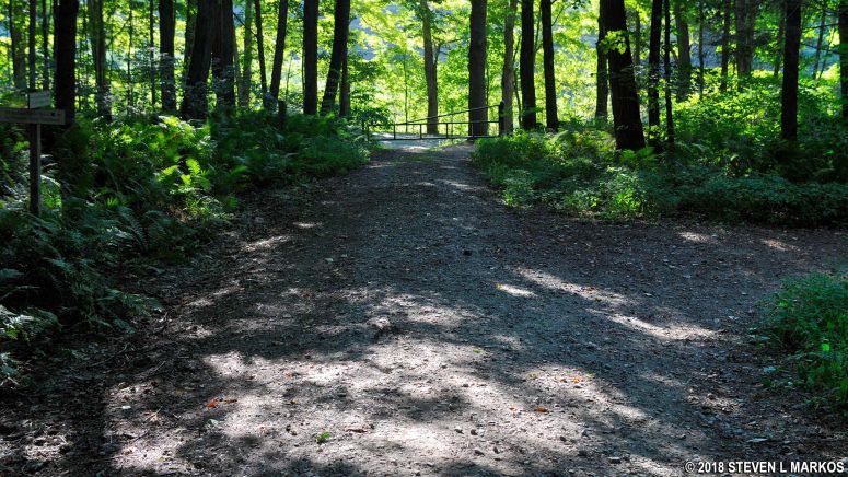 Intersection of McKenzie Road and the McKenzie Farm Trail, Marsh-Billings-Rockefeller National Historical Park