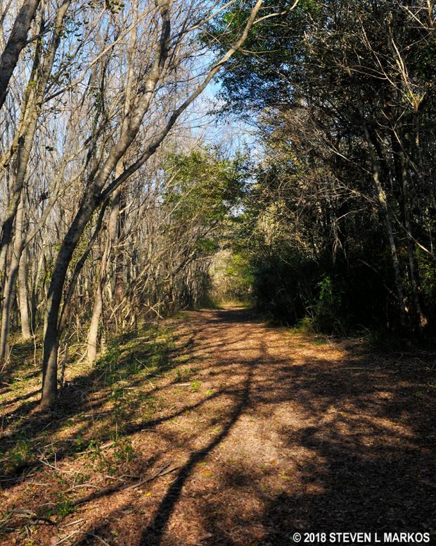 Typical terrain of the Johnson Ferry South trails, Chattahoochee River National Recreation Area