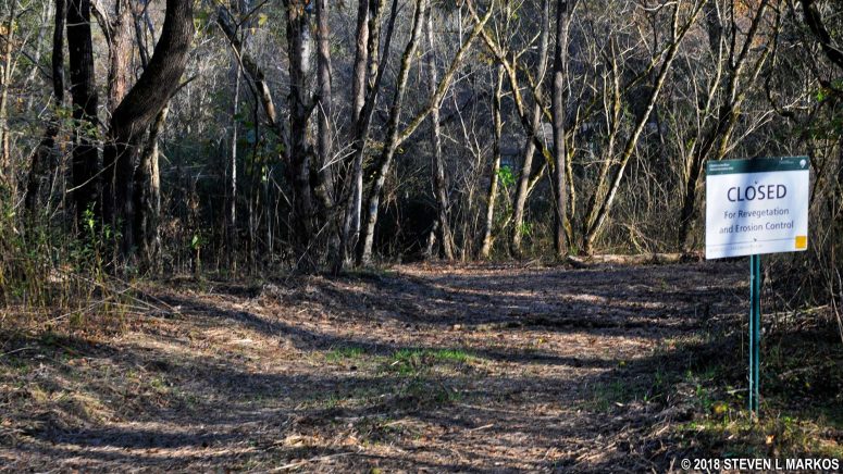 Area near the JS 3 intersection on the Johnson Ferry South trails at Chattahoochee River National Recreation Area