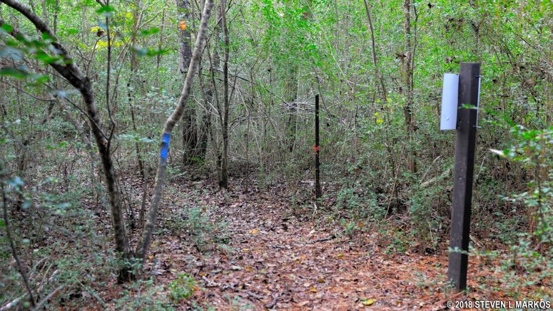 JS 2 intersection on the Johnson Ferry South trail in Chattahoochee River National Recreation Area