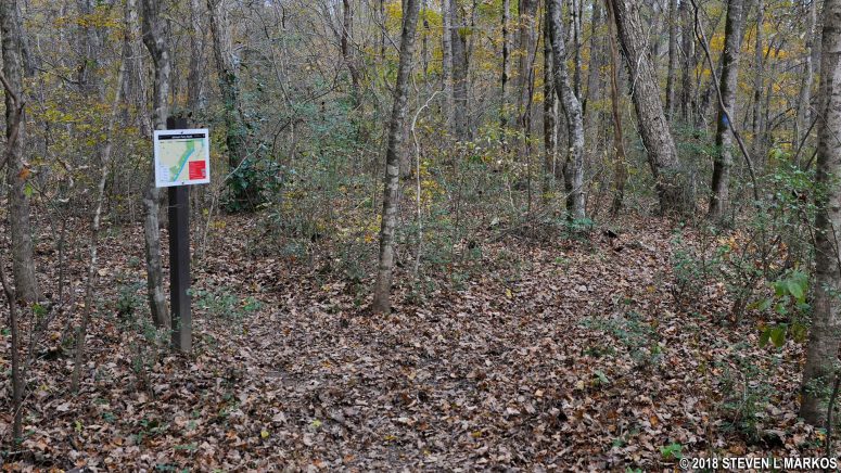Fork in the Johnson Ferry North trail near Mulberry Creek at intersection JN 7, Chattahoochee River National Recreation Area