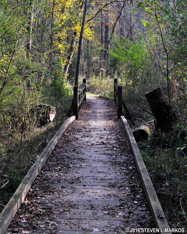 Boardwalk on the Johnson Ferry North Trail near Nannyberry Creek, Chattahoochee River National Recreation Area