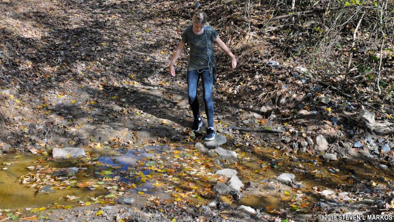 Sasha attempting to cross Malvern Creek in the Jones Bridge unit of Chattahoochee River National Recreation Area (she ultimately opted for the footbridge)