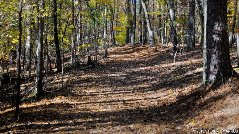Hill at intersection JB 1 on the Jones Bridge unit trail climbs nearly 100 feet above the Chattahoochee River