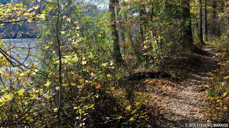 Typical terrain of the Jones Bridge Unit trails along the Chattahoochee River