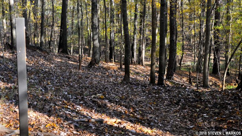 Intersection JB 7 on the Jones Bridge Unit trail in Chattahoochee River National Recreation Area