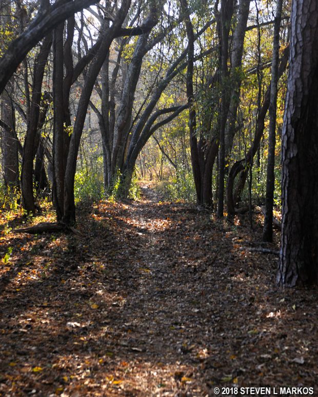 Terrain between JB 12 and JB 14 at the Jones Bridge Unit of Chattahoochee River National Recreation Area