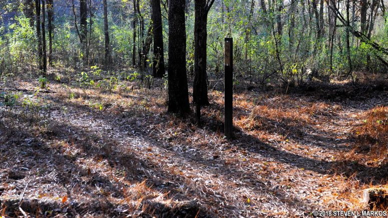 Intersection JB 15 on the Jones Bridge Unit trail in Chattahoochee River National Recreation Area