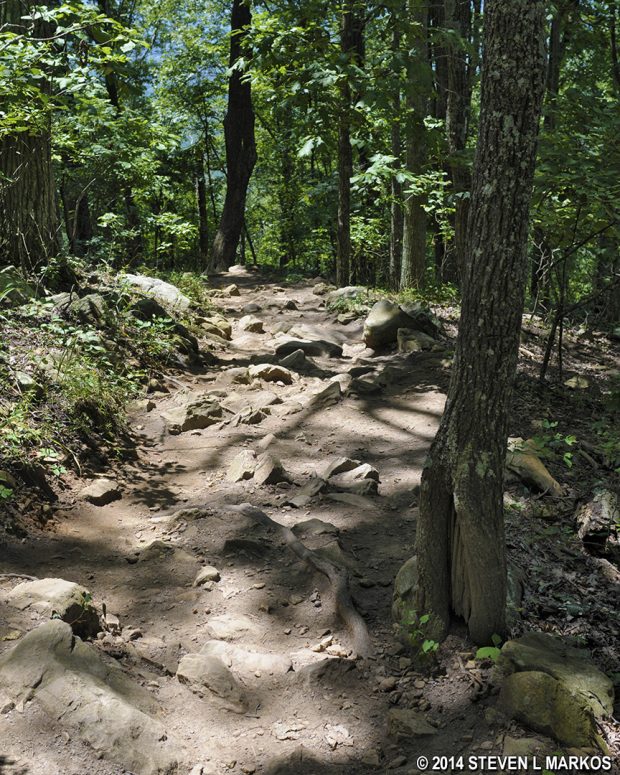 Rocky terrain on the section of trail between Kennesaw Mountain and Little Kennesaw Mountain, Kennesaw Mountain National Battlefield Park