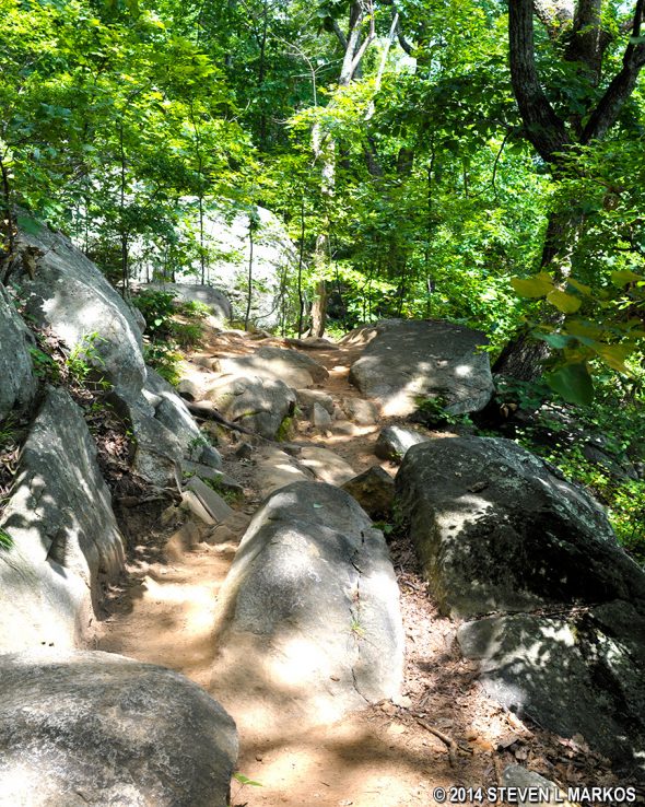Rocky terrain on the trail between Little Kennesaw Mountain and Pigeon Hill at Kennesaw Mountain National Battlefield Park