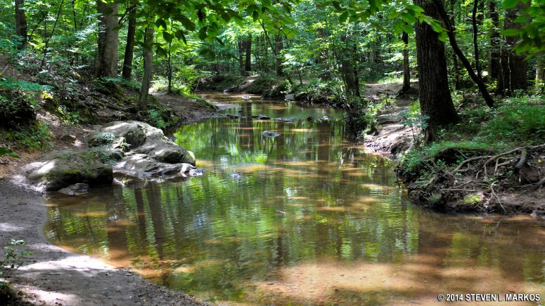 Noses Creek at Kennesaw Mountain National Battlefield Park