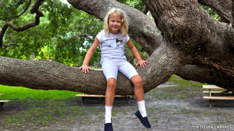 Sasha sitting on the branch of a Live Oak at Fort Matanzas National Monument picnic area