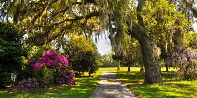 CHARLES PINCKNEY NATIONAL HISTORIC SITE