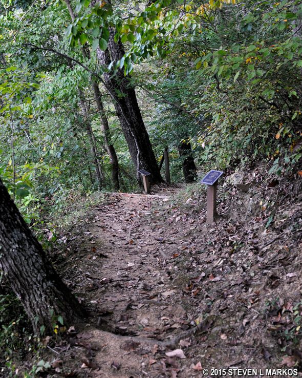 Signs along the Blue Ridge Parkway's Trail of the Trees describe the trees growing in the James River Valley area