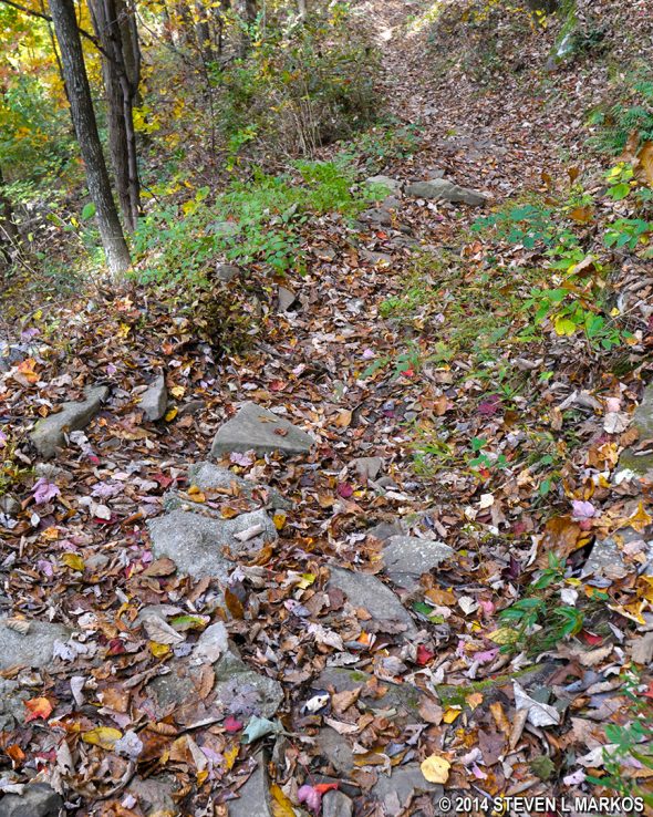 Rocky terrain, typical of trails on the west side of Lookout Mountain in the Chattanooga Unit of Chickamauga and Chattanooga National Military Park