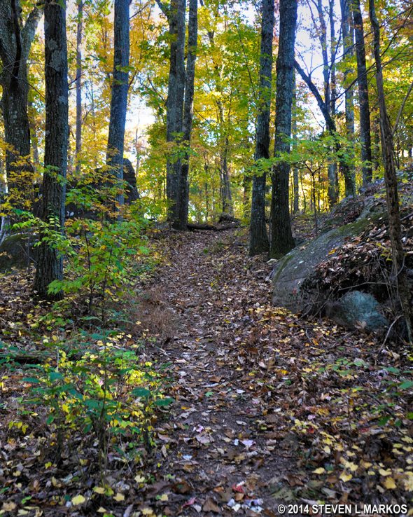 Typical terrain on the Whiteside Trail on Lookout Mountain in the Chattanooga Unit of Chickamauga and Chattanooga National Military Park