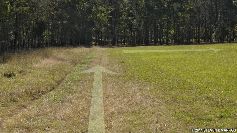 Follow the tree line to stay on the Red Trail segment of the General Bragg Trail in the Chickamauga Unit of Chickamauga and Chattanooga National Military Park