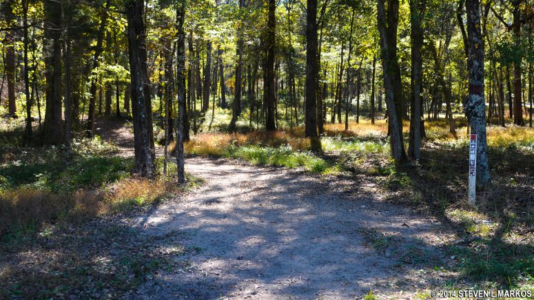 General Bragg Trail enters the woods, leaving open fields behind for good, Chickamauga Unit of Chickamauga and Chattanooga National Military Park