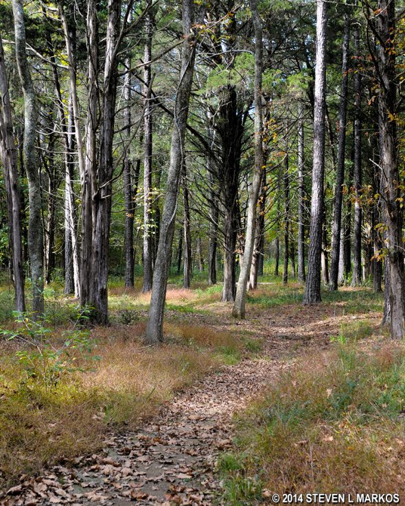 Typical terrain of the trails making up the General Bragg Trail in the Chickamauga Unit of Chickamauga and Chattanooga National Military Park