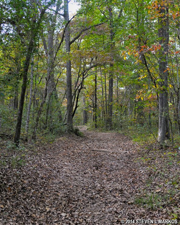 Typical terrain of the Bragg Trail in the Chickamauga Unit of Chickamauga and Chattanooga National Military Park