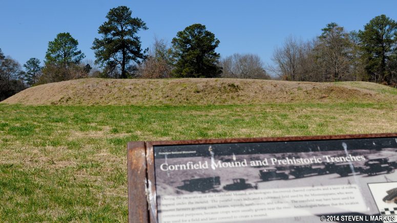 Cornfield Mound at Ocmulgee Mounds National Historical Park