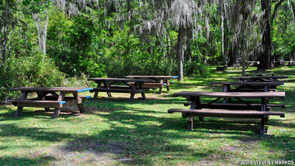 Picnic area at Fort Frederica National Monument