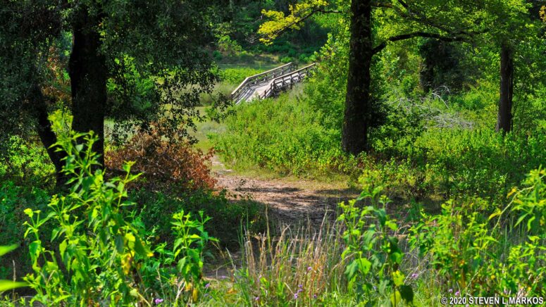 Trail to Funeral Mound at Ocmulgee Mounds National Historical Park