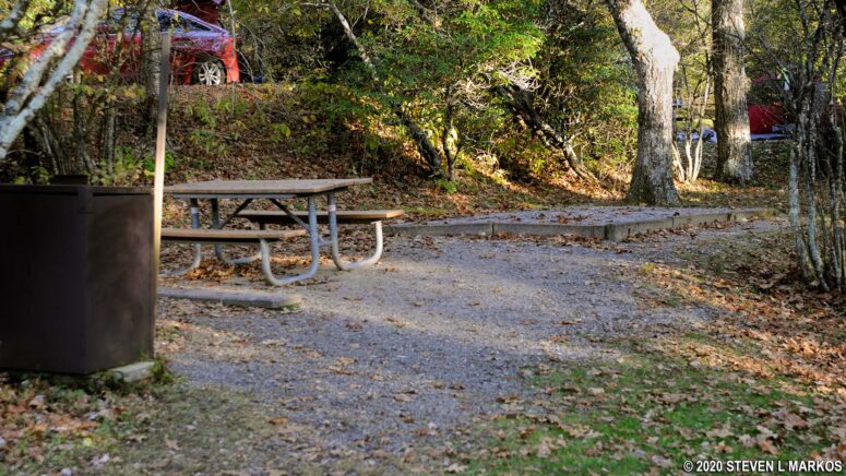 Tent site at the Mount Pisgah Campground on the Blue Ridge Parkway with pad, picnic table, and bear box (fire ring not shown in the photos)