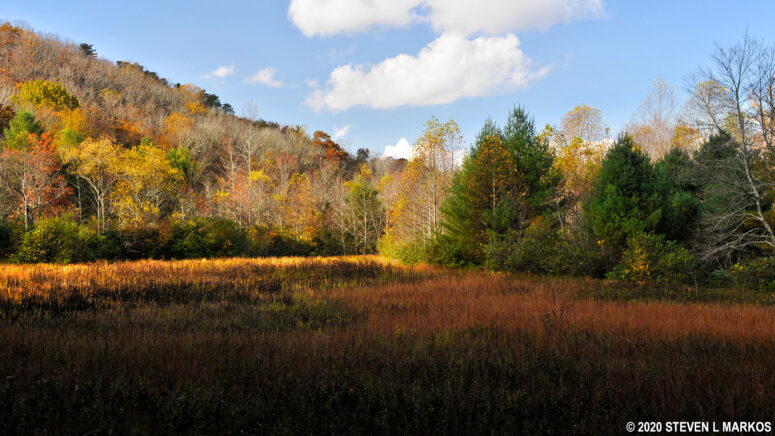 Picturesque field passed on the first quarter mile of the High Meadow Trail at the Blue Ridge Music Center on the Blue Ridge Parkway