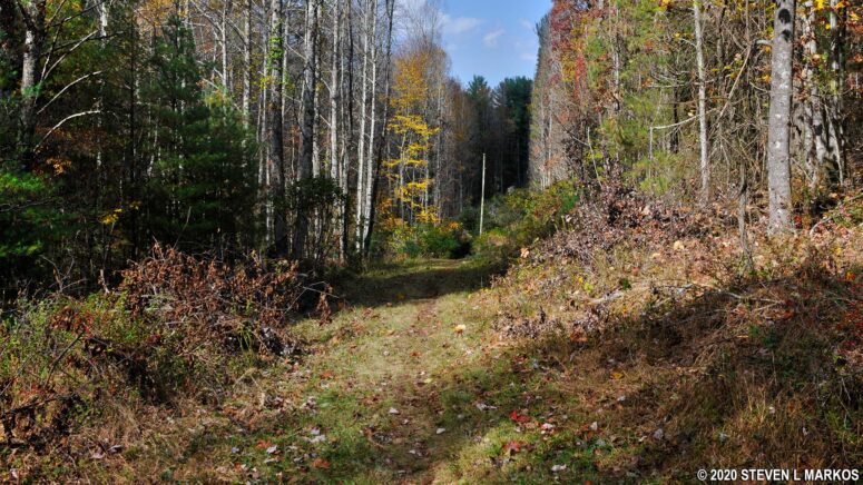 The Fisher Peak Loop Trail widens as it nears the High Meadow Trail at the Blue Ridge Music Center on the Blue Ridge Parkway