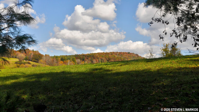 Transition from forest to meadow on the High Meadow Trail at the Blue Ridge Music Center on the Blue Ridge Parkway