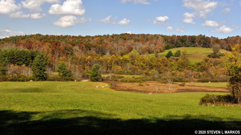 Meadow on the High Meadow Trail at the Blue Ridge Music Center on the Blue Ridge Parkway