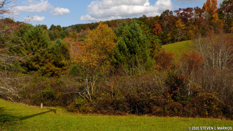 Location of the short path that connects two meadows on the High Meadow Trail at the Blue Ridge Music Center on the Blue Ridge Parkway