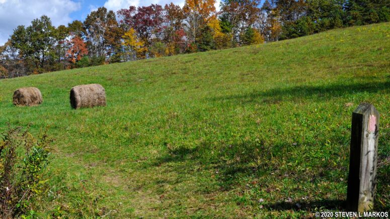 Entering the second meadow on the High Meadow Trail at the Blue Ridge Music Center on the Blue Ridge Parkway